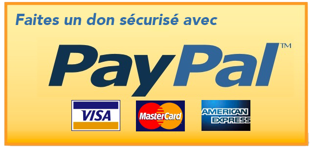 Don Paypal